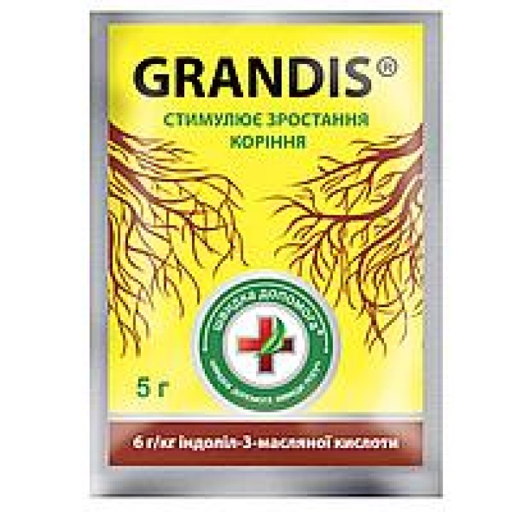 2900187850_w200_h200_kornevin-grandis-5
